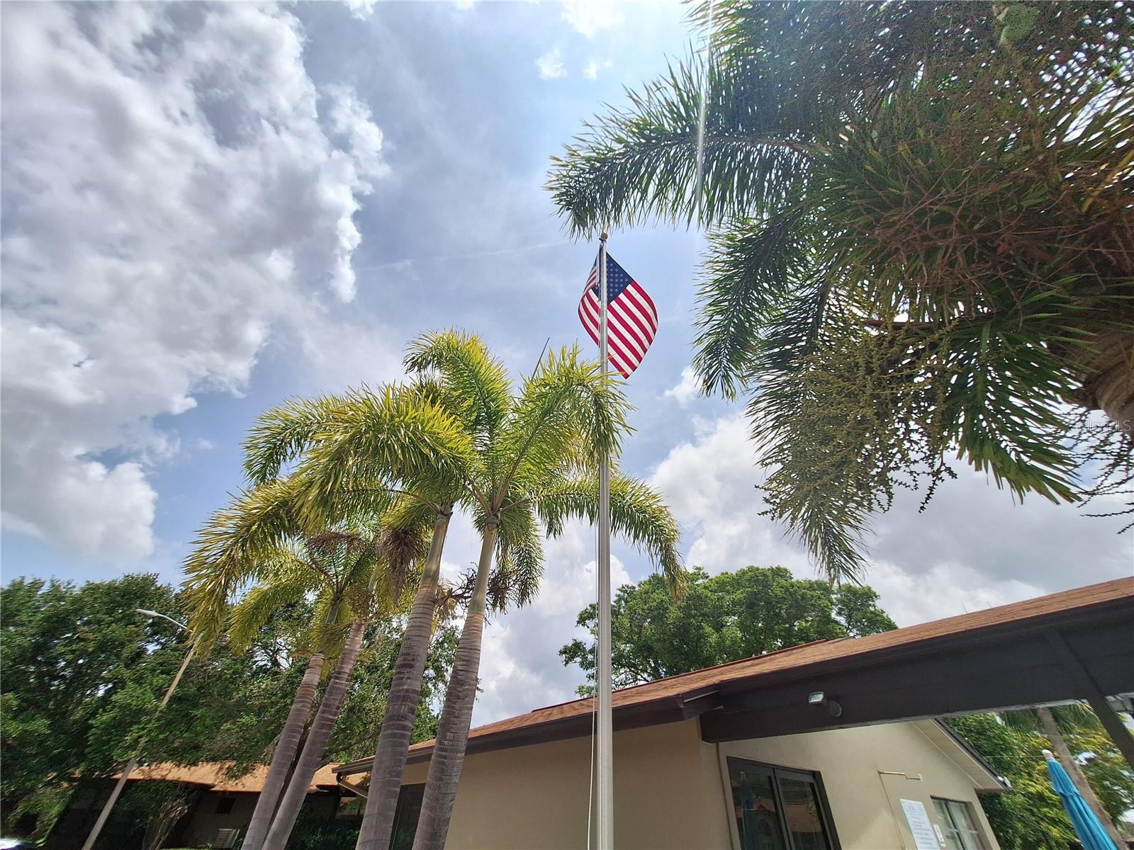 1693 FRY CT, DUNEDIN, FL, 34698