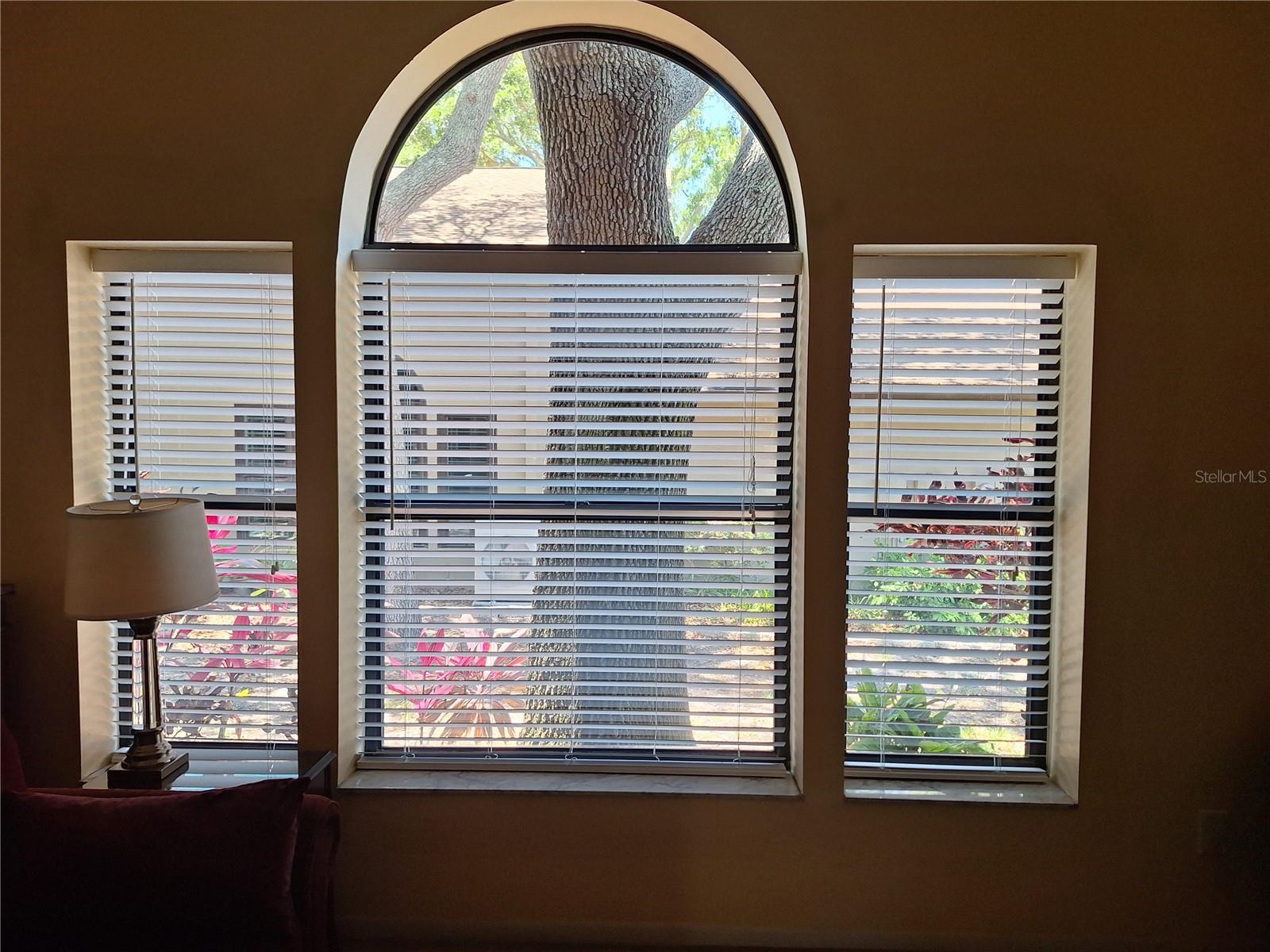 1693 FRY CT, DUNEDIN, FL, 34698