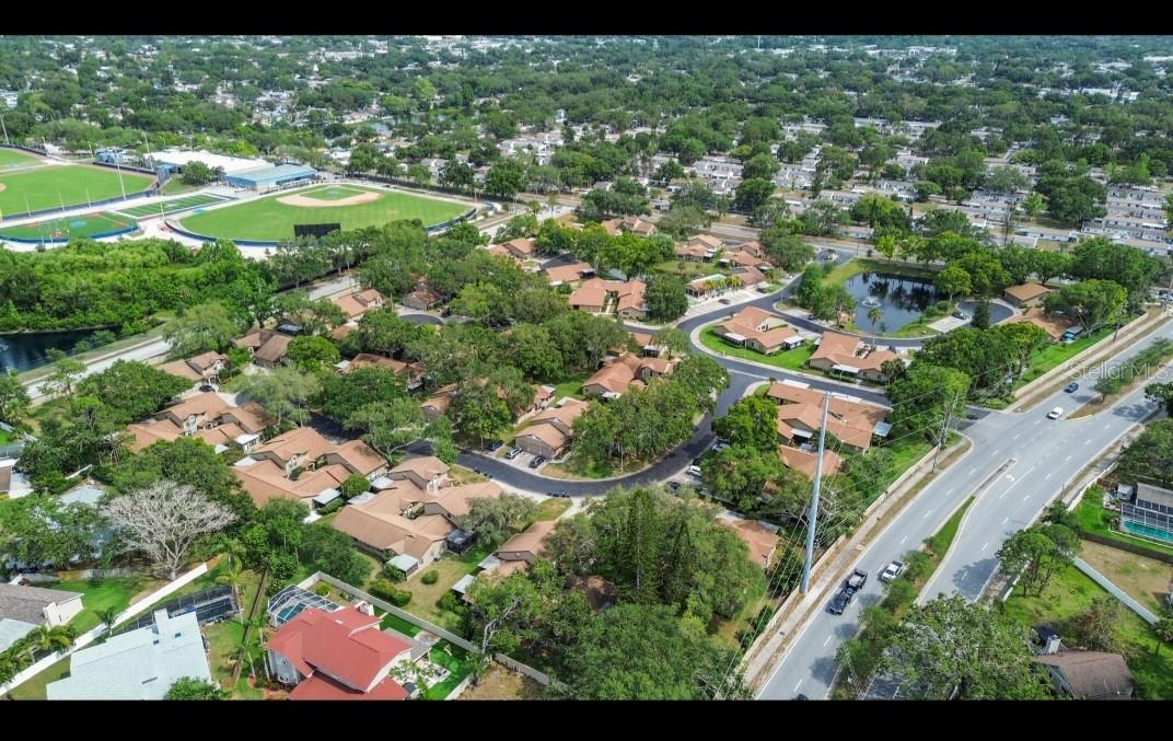 1693 FRY CT, DUNEDIN, FL, 34698