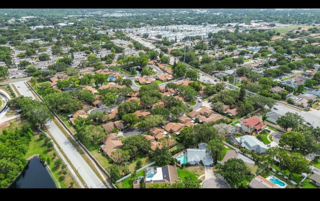 1693 FRY CT, DUNEDIN, FL, 34698