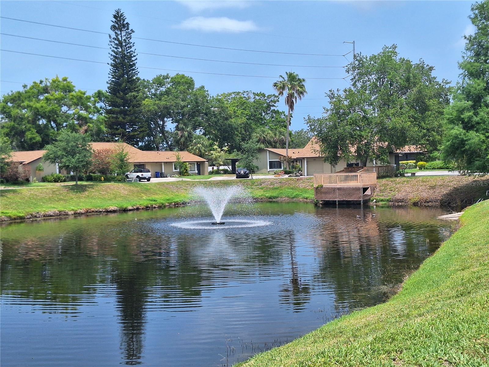 1693 FRY CT, DUNEDIN, FL, 34698