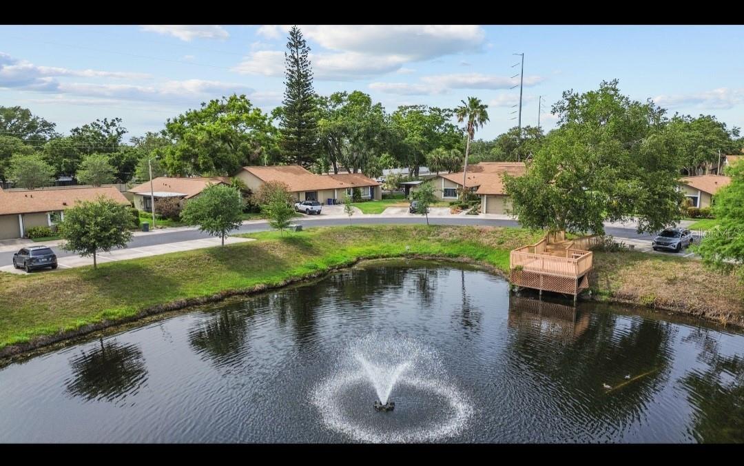 1693 FRY CT, DUNEDIN, FL, 34698