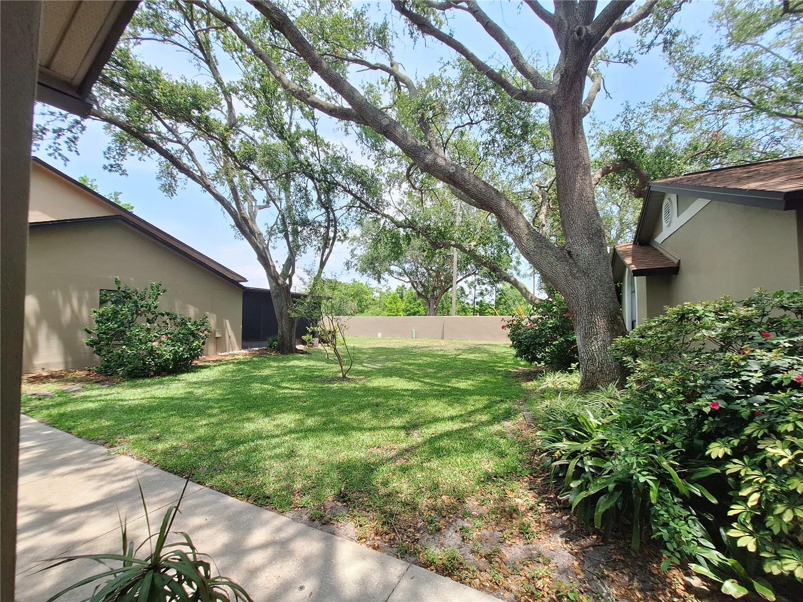 1693 FRY CT, DUNEDIN, FL, 34698