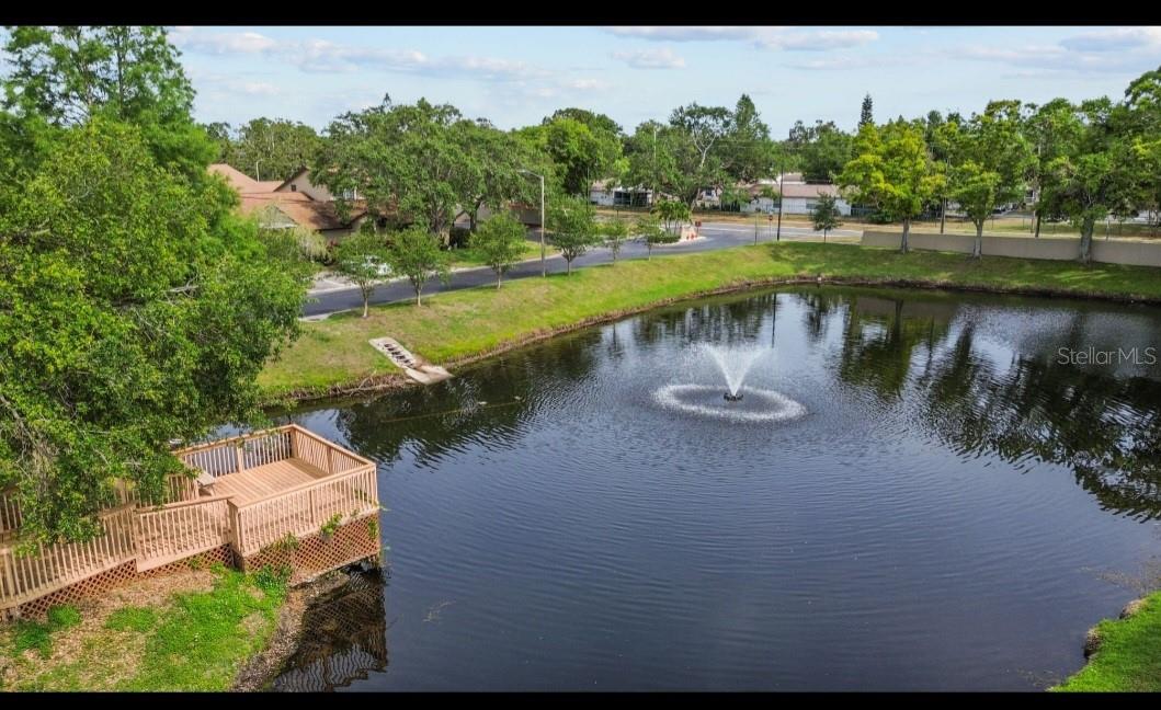 1693 FRY CT, DUNEDIN, FL, 34698