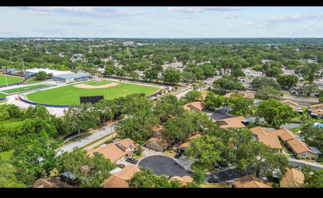 1693 FRY CT, DUNEDIN, FL, 34698