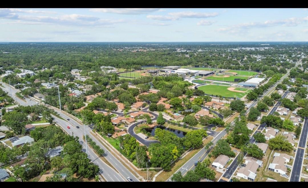 1693 FRY CT, DUNEDIN, FL, 34698