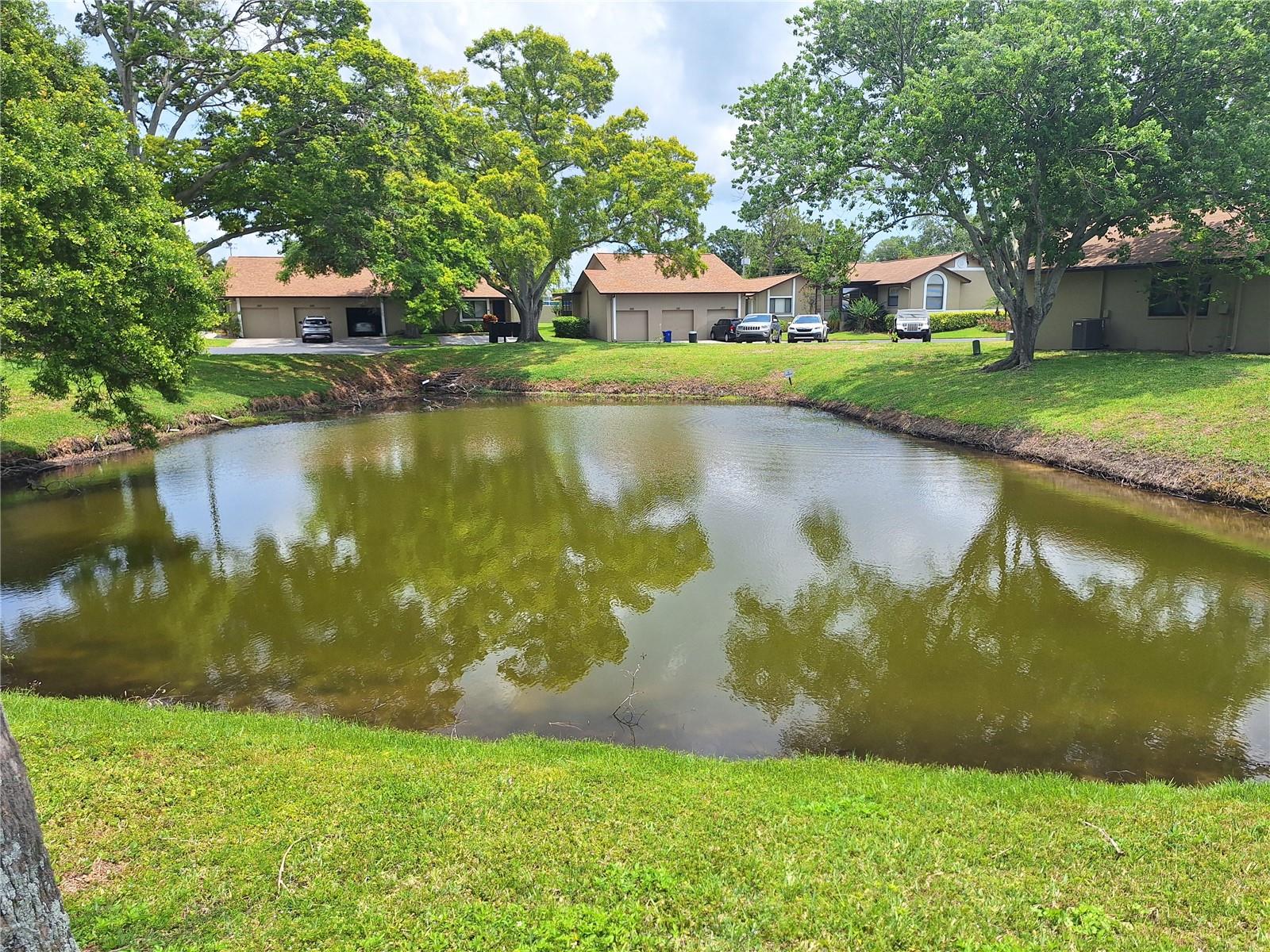 1693 FRY CT, DUNEDIN, FL, 34698