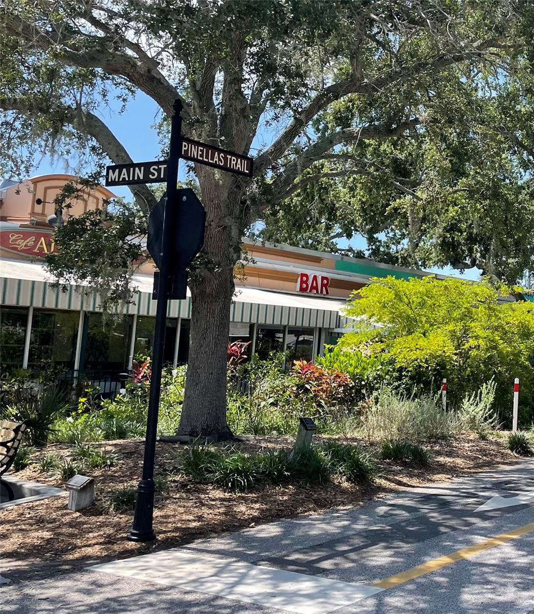 1486 LOMAN CT, PALM HARBOR, FL, 34683