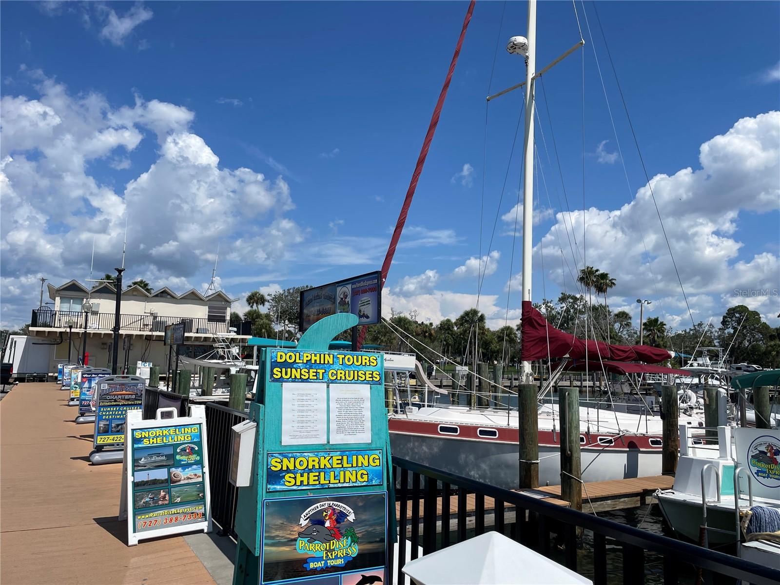 1486 LOMAN CT, PALM HARBOR, FL, 34683