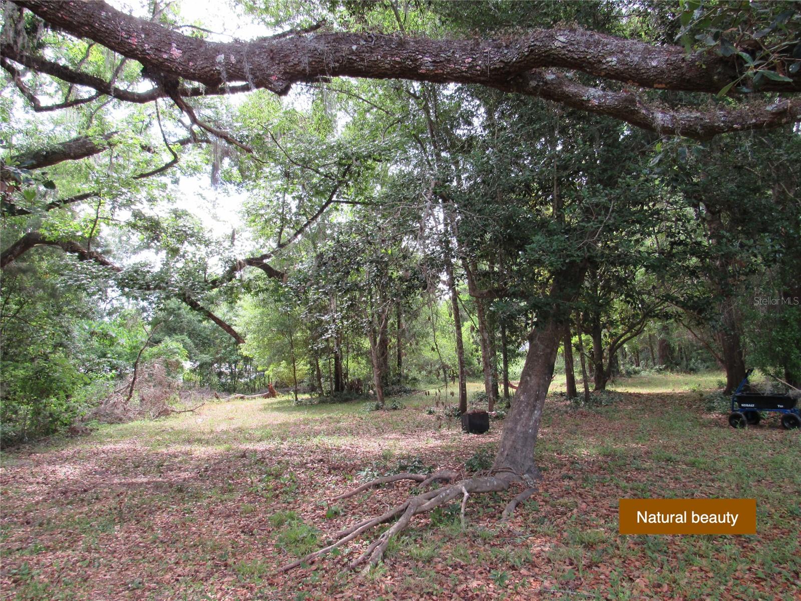 20526 N STATE ROAD 121, ALACHUA, FL, 32615