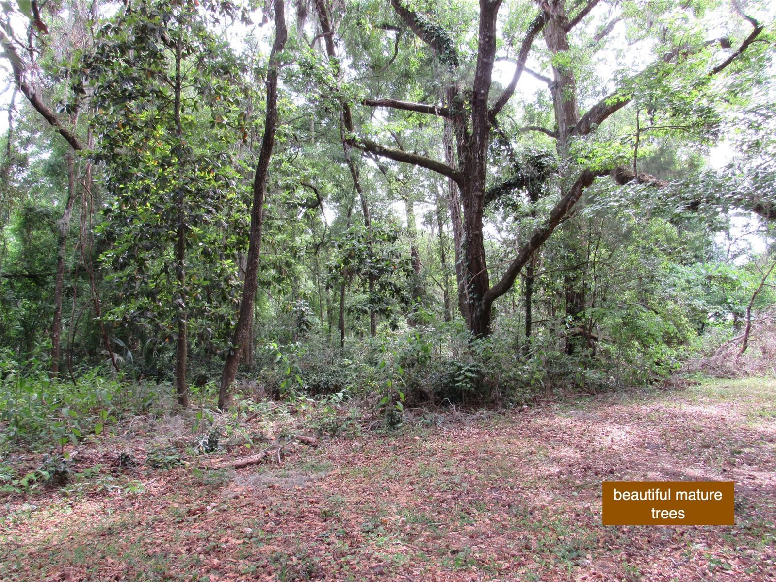 20526 N STATE ROAD 121, ALACHUA, FL, 32615