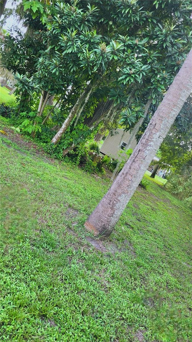 1084 ARVIN LN, MOORE HAVEN, FL, 33471