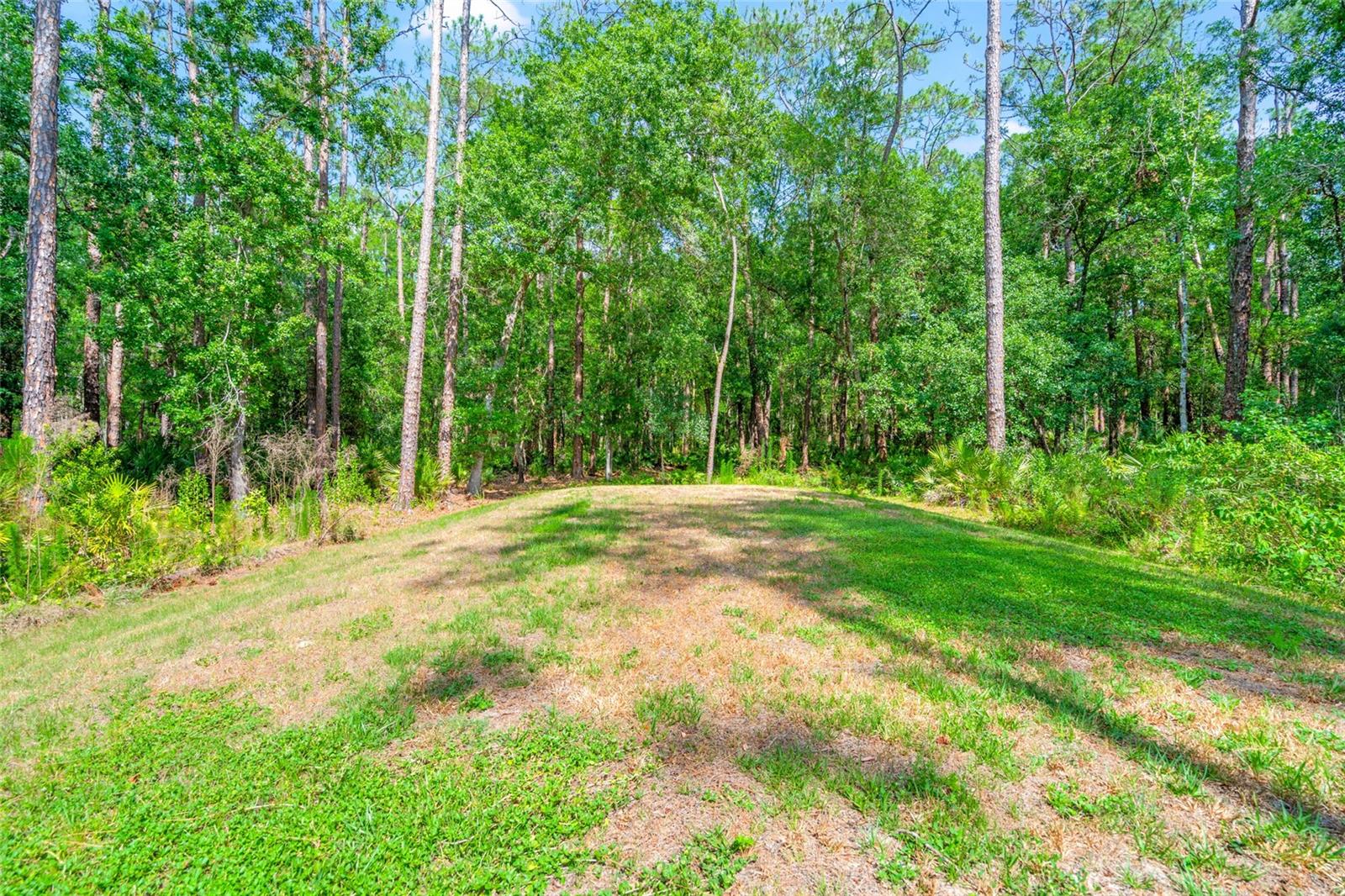 7340 WEST DR, WESLEY CHAPEL, FL, 33544