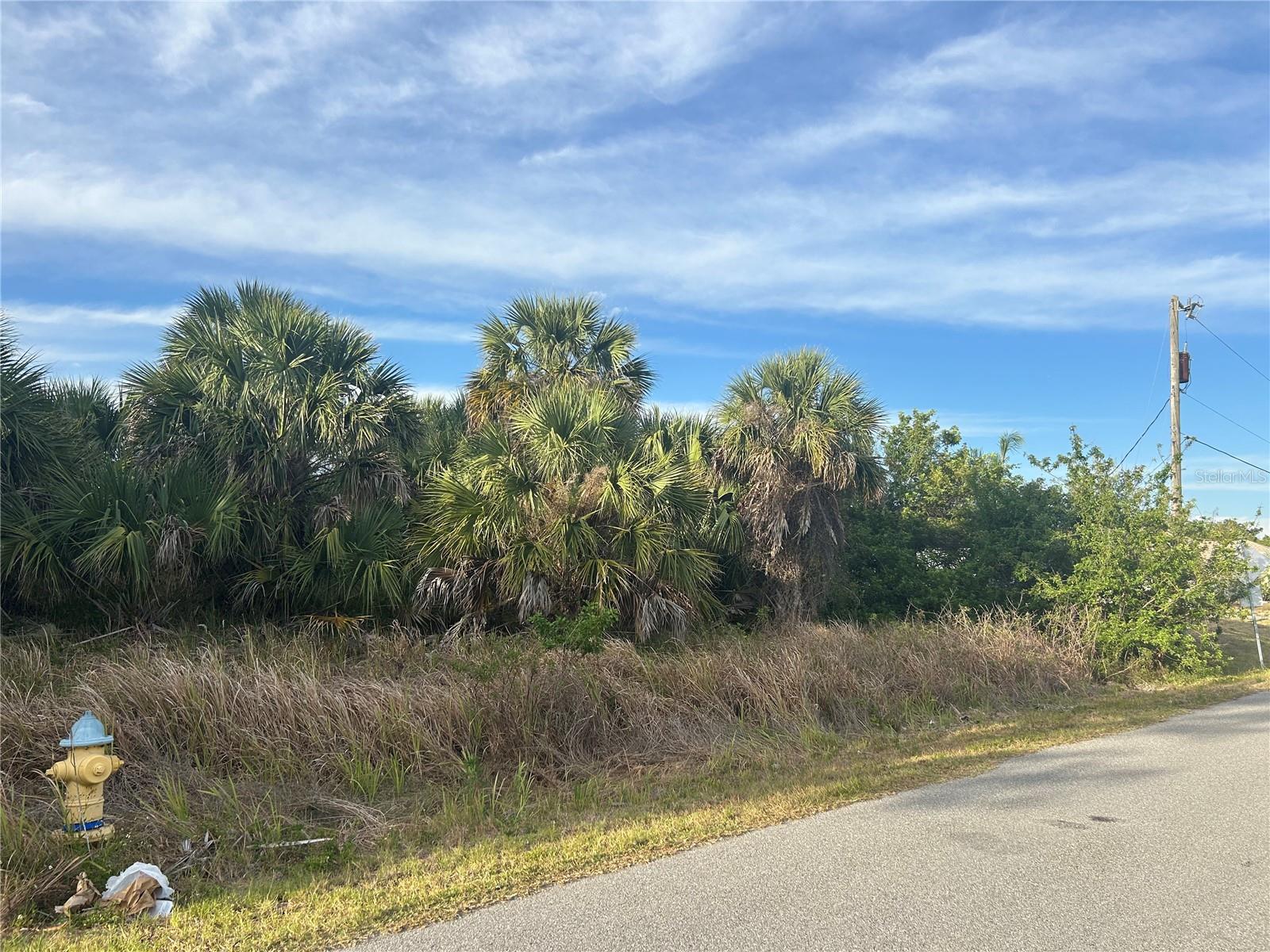 CHESEBRO AVE, NORTH PORT, FL, 34287