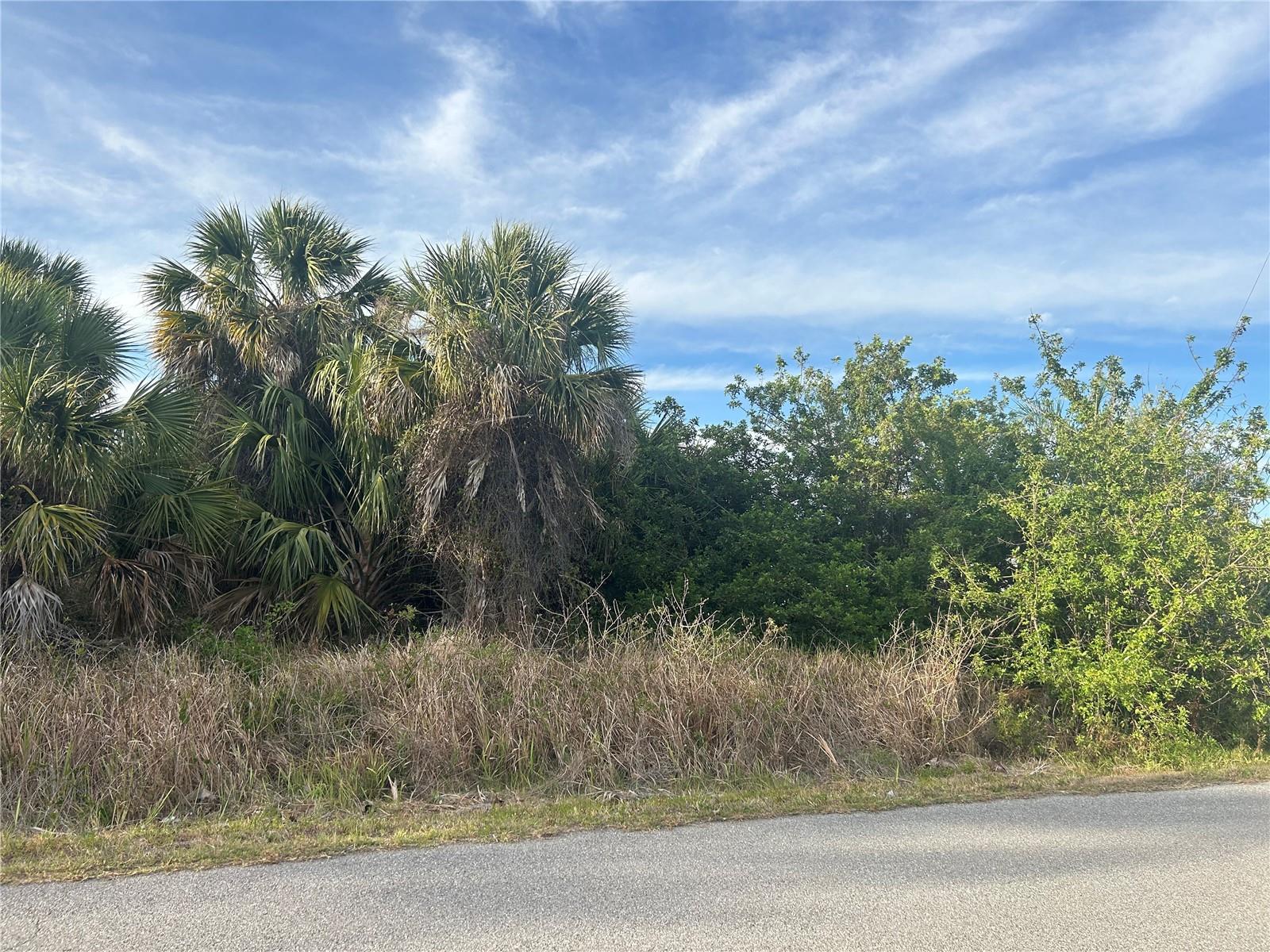 CHESEBRO AVE, NORTH PORT, FL, 34287