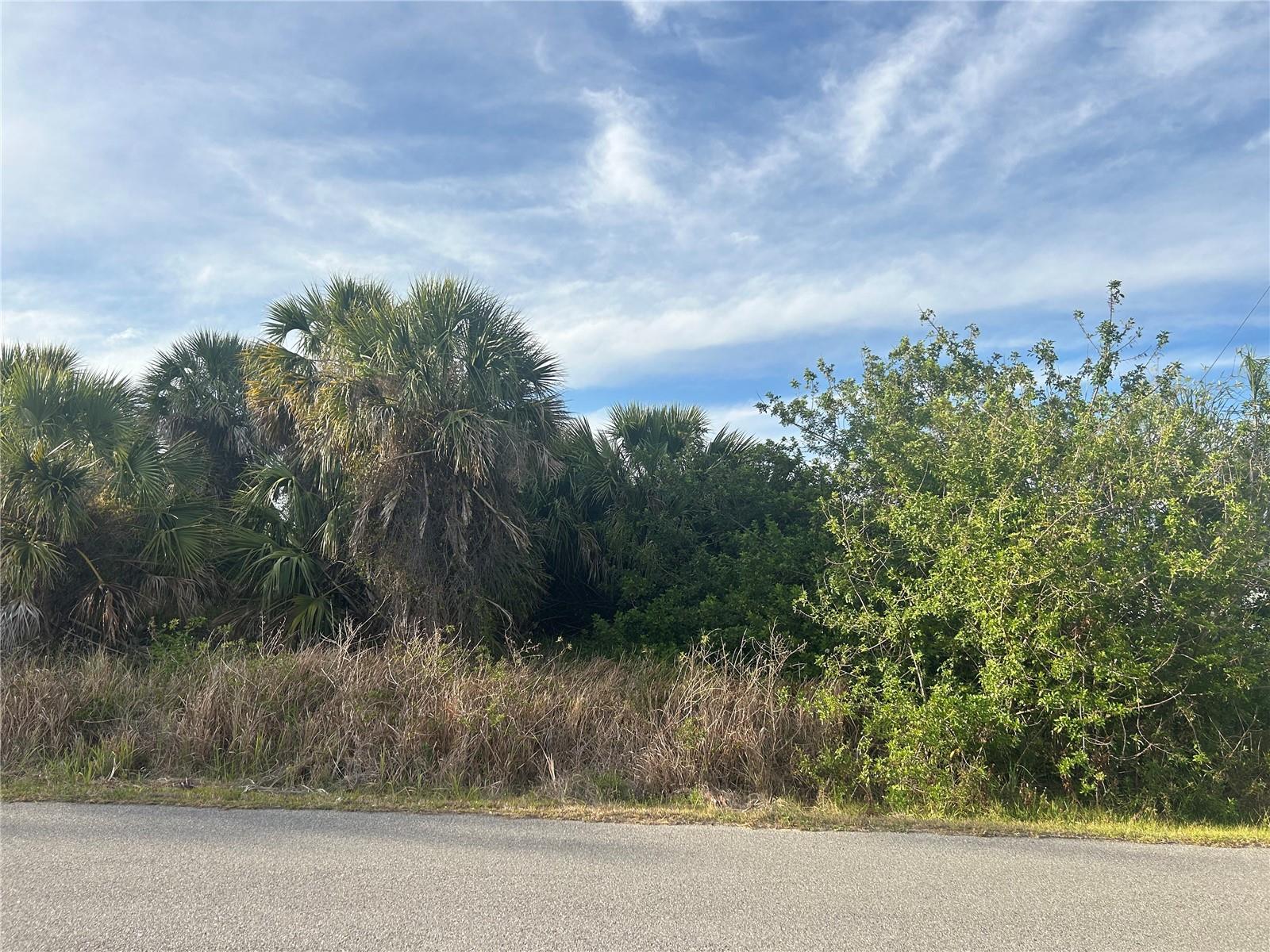 CHESEBRO AVE, NORTH PORT, FL, 34287