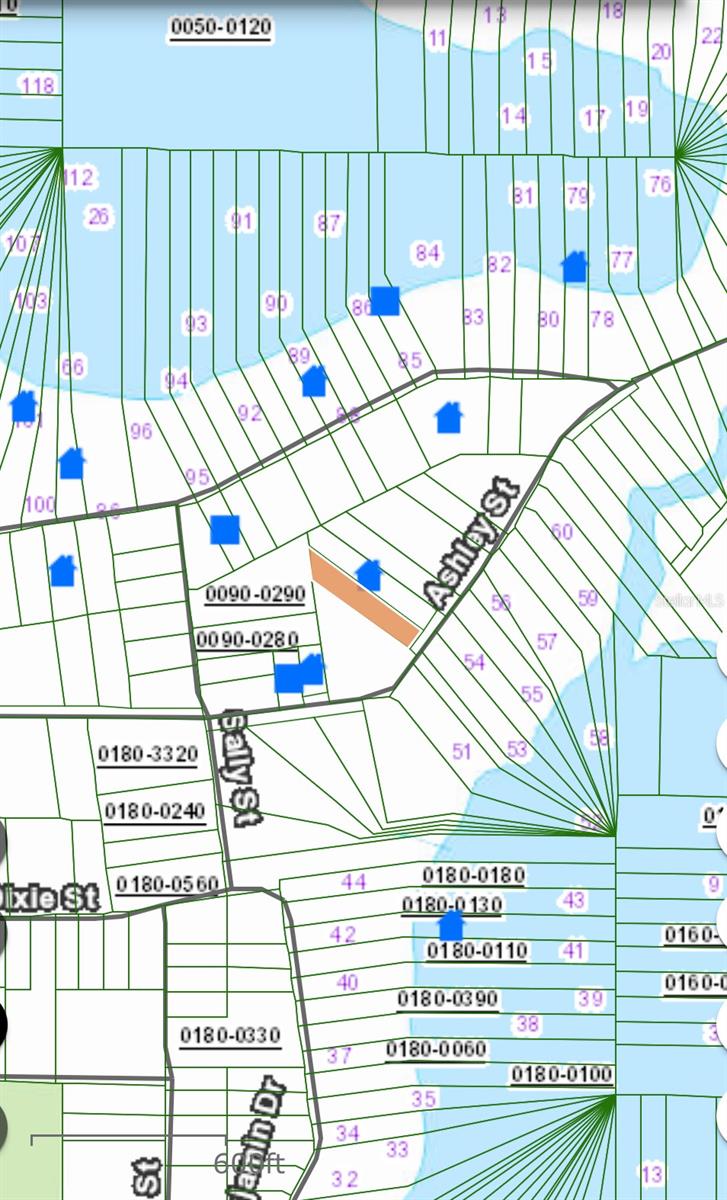 Lot 221 ASHLEY ST, HAWTHORNE, FL, 32640