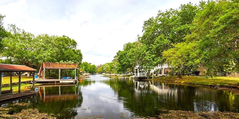 1407 JEAN ST, LUTZ, FL, 33548