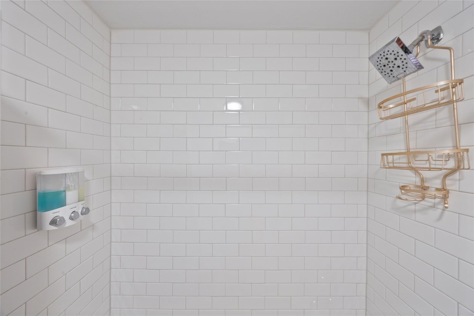 1407 JEAN ST, LUTZ, FL, 33548