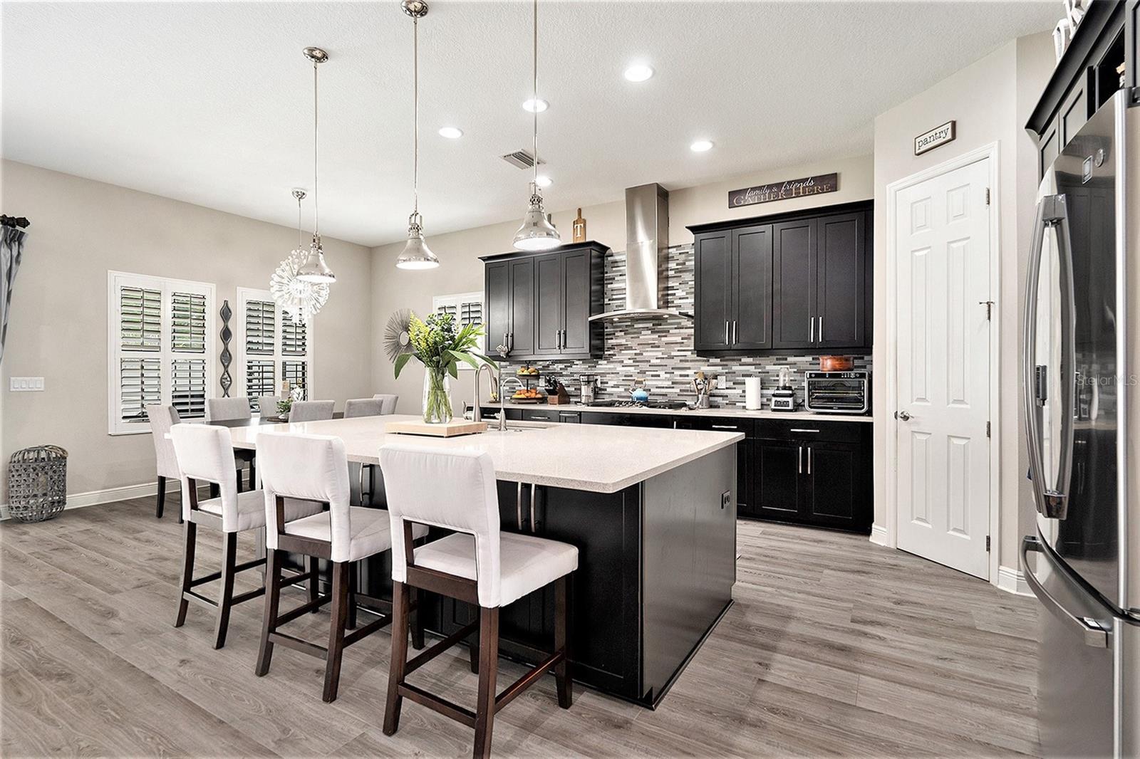 2608 CALVANO DR, LAND O LAKES, FL, 34639