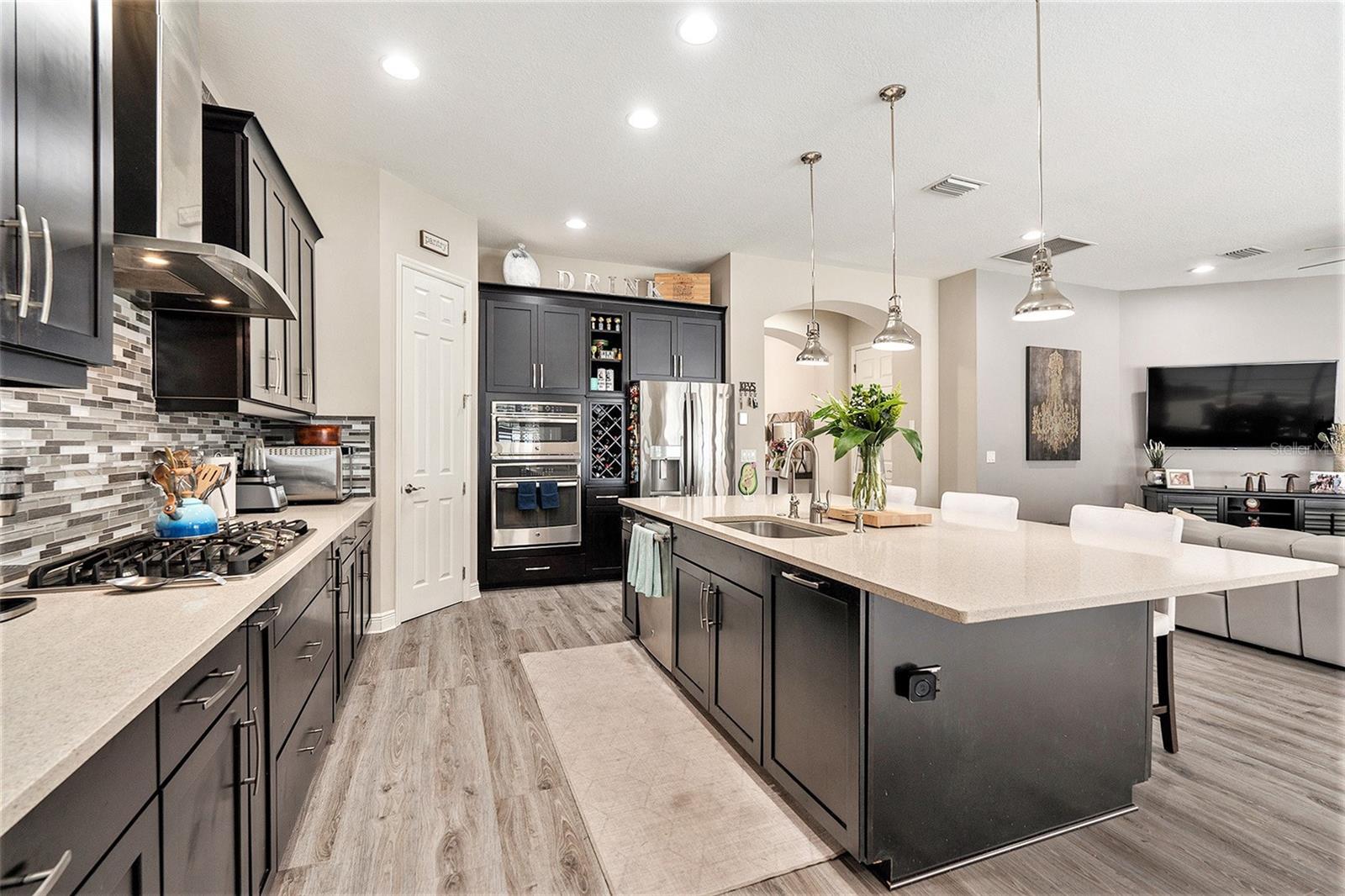 2608 CALVANO DR, LAND O LAKES, FL, 34639