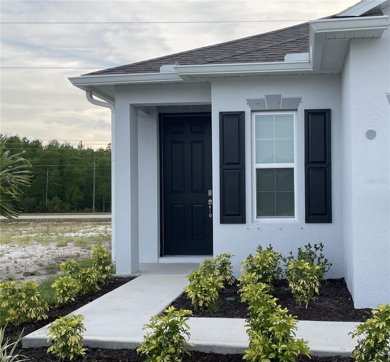 3984 SAGEFIELD DR, HARMONY, FL, 34773