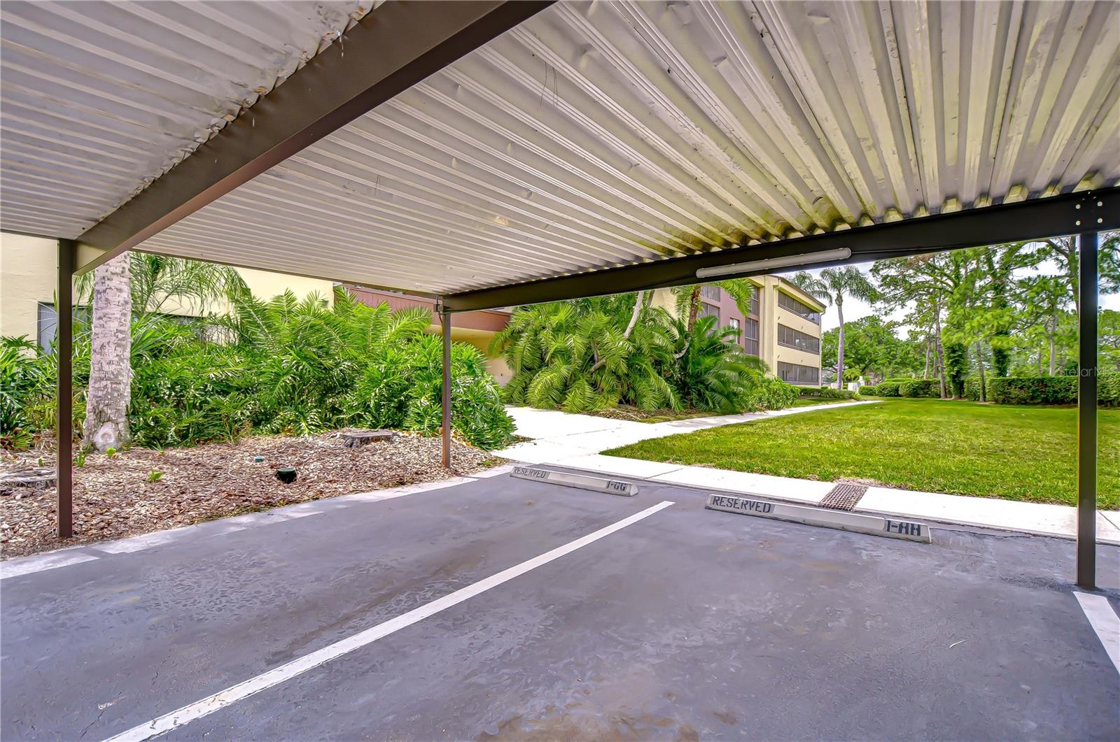 13602 S VILLAGE DR #1309, TAMPA, FL, 33618