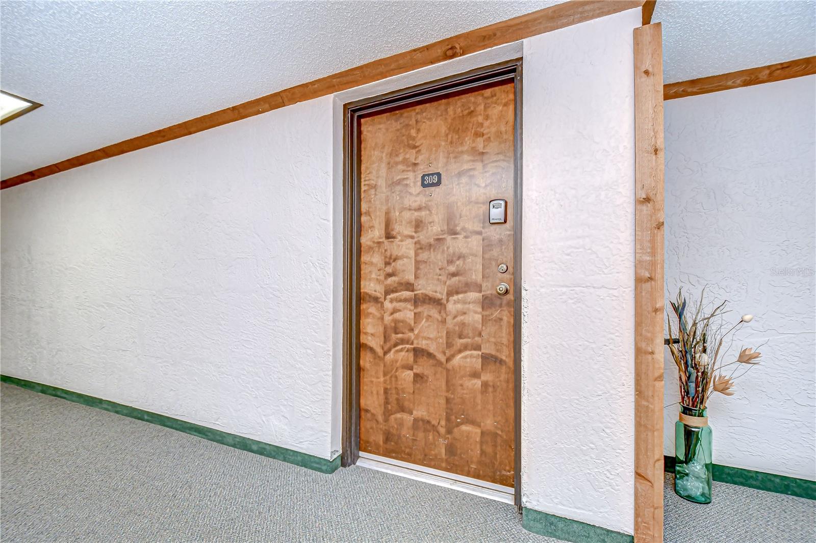 13602 S VILLAGE DR #1309, TAMPA, FL, 33618