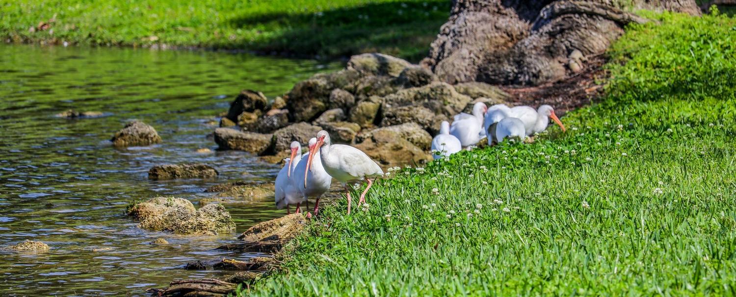 617 RED OAK CIR #121, ALTAMONTE SPRINGS, FL, 32701