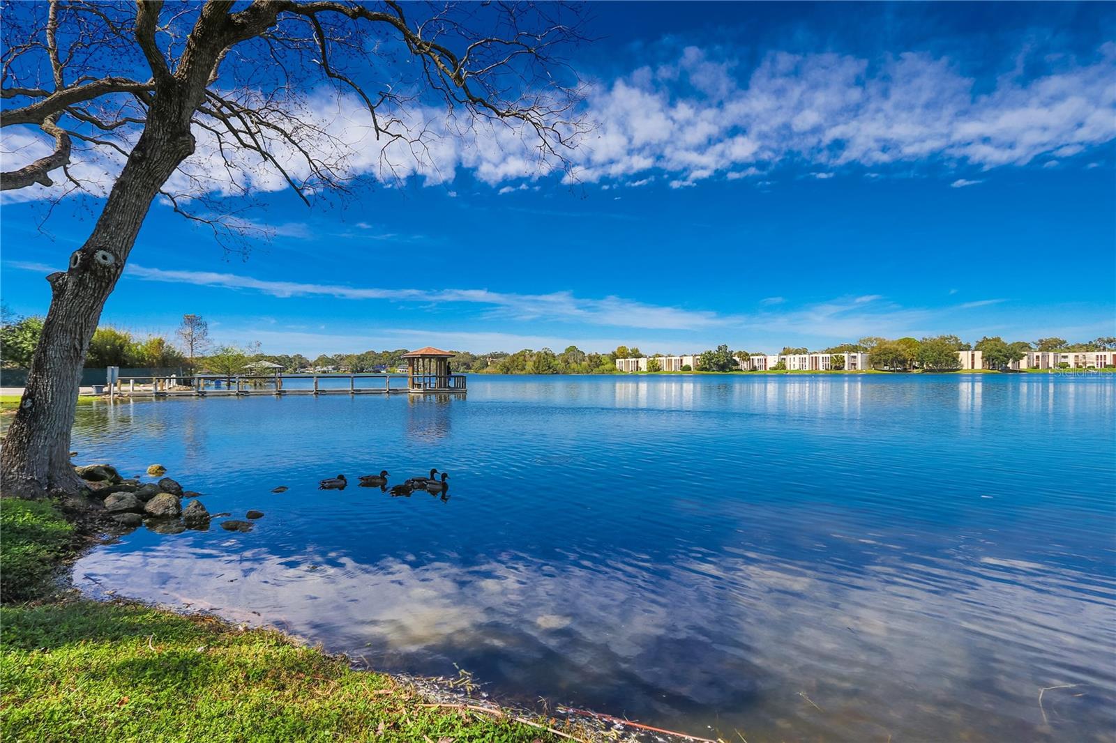 617 RED OAK CIR #121, ALTAMONTE SPRINGS, FL, 32701