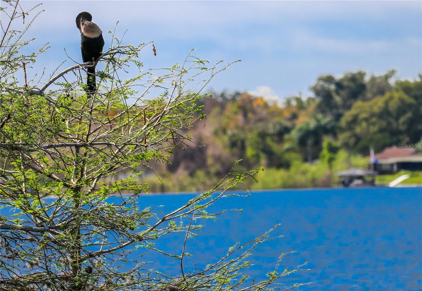 617 RED OAK CIR #121, ALTAMONTE SPRINGS, FL, 32701