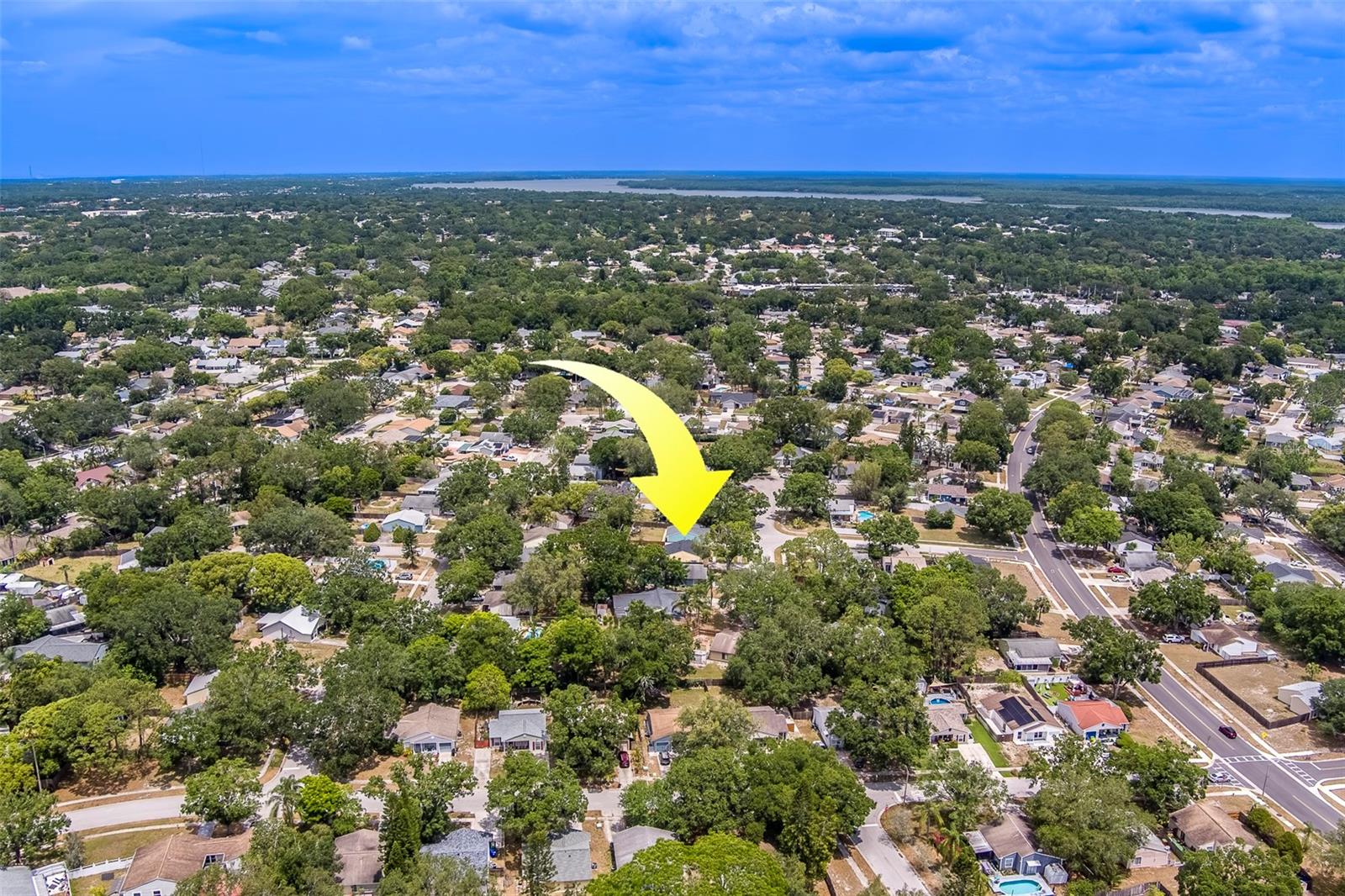 3852 BERKSHIRE CT, PALM HARBOR, FL, 34684