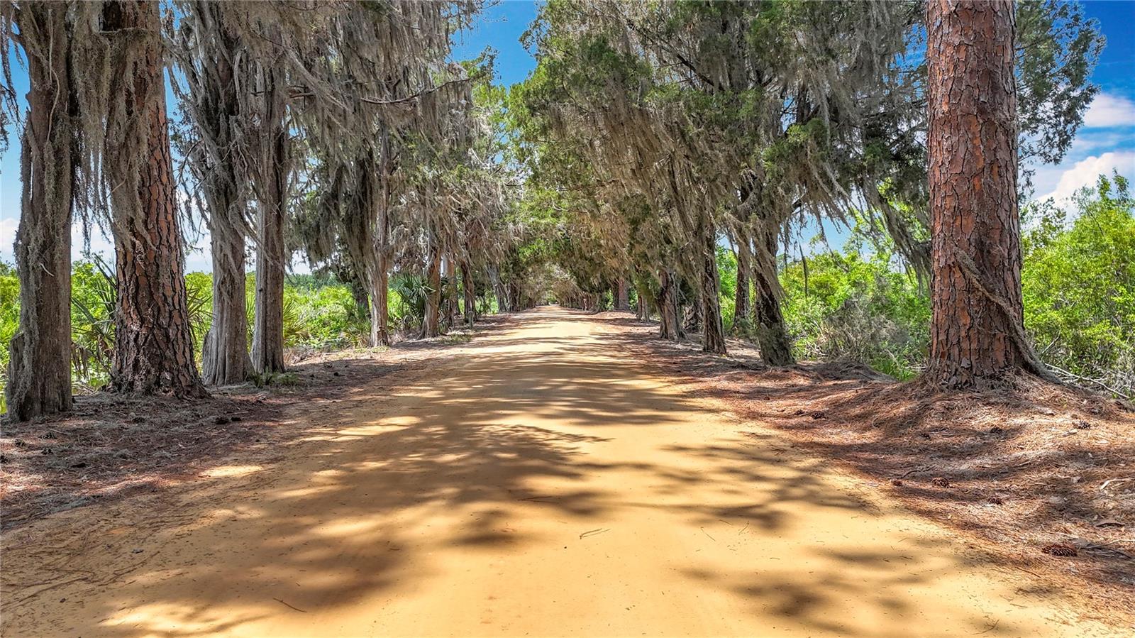 7374 CIRCLE DR, LADY LAKE, FL, 32159