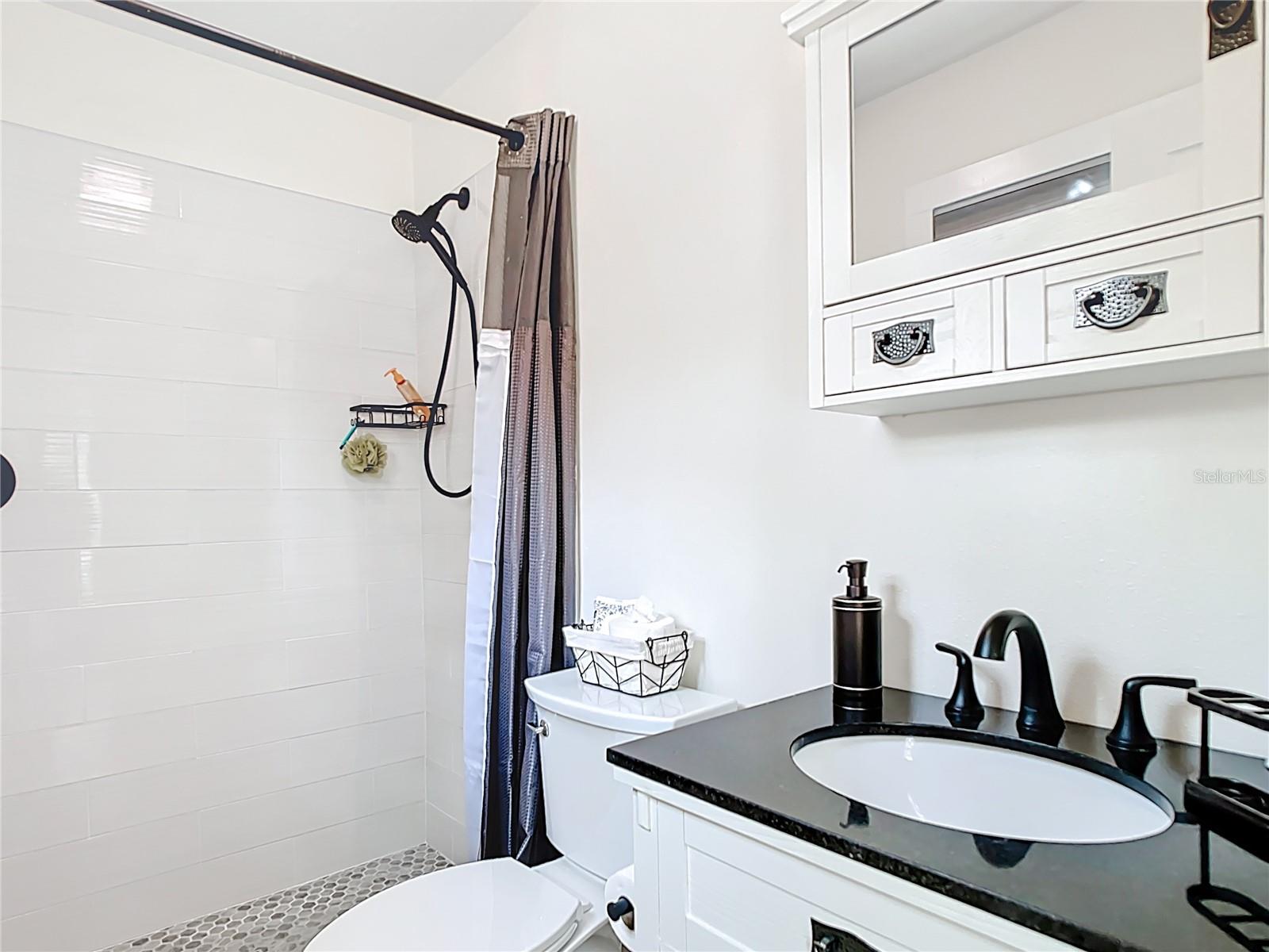 7374 CIRCLE DR, LADY LAKE, FL, 32159