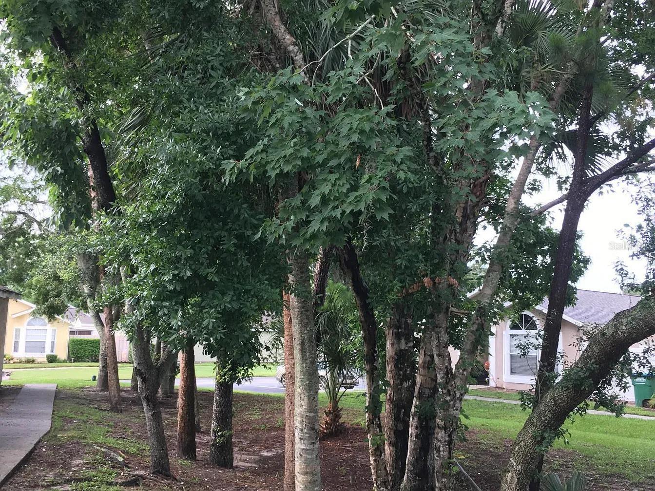 410 HORIZON DR, WINTER SPRINGS, FL, 32708