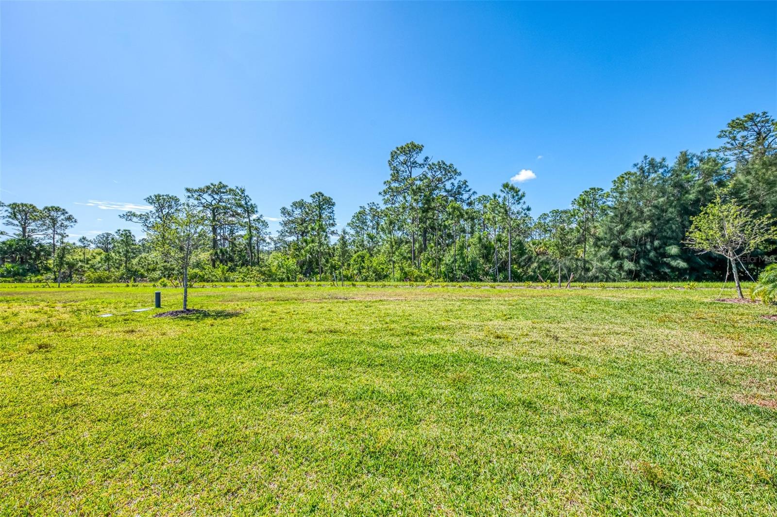 10995 PINOT DR, VENICE, FL, 34293