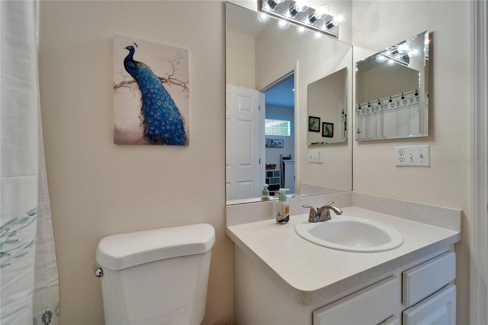 8132 STONE PATH WAY, TAMPA, FL, 33647