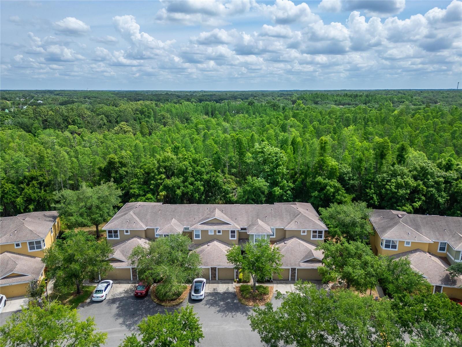 8132 STONE PATH WAY, TAMPA, FL, 33647