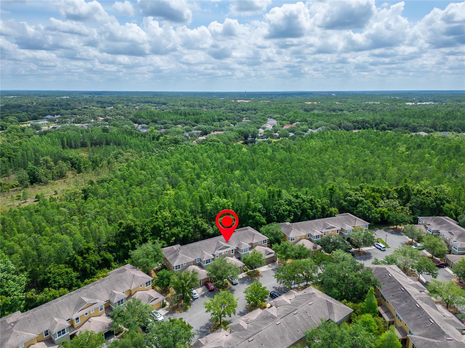 8132 STONE PATH WAY, TAMPA, FL, 33647