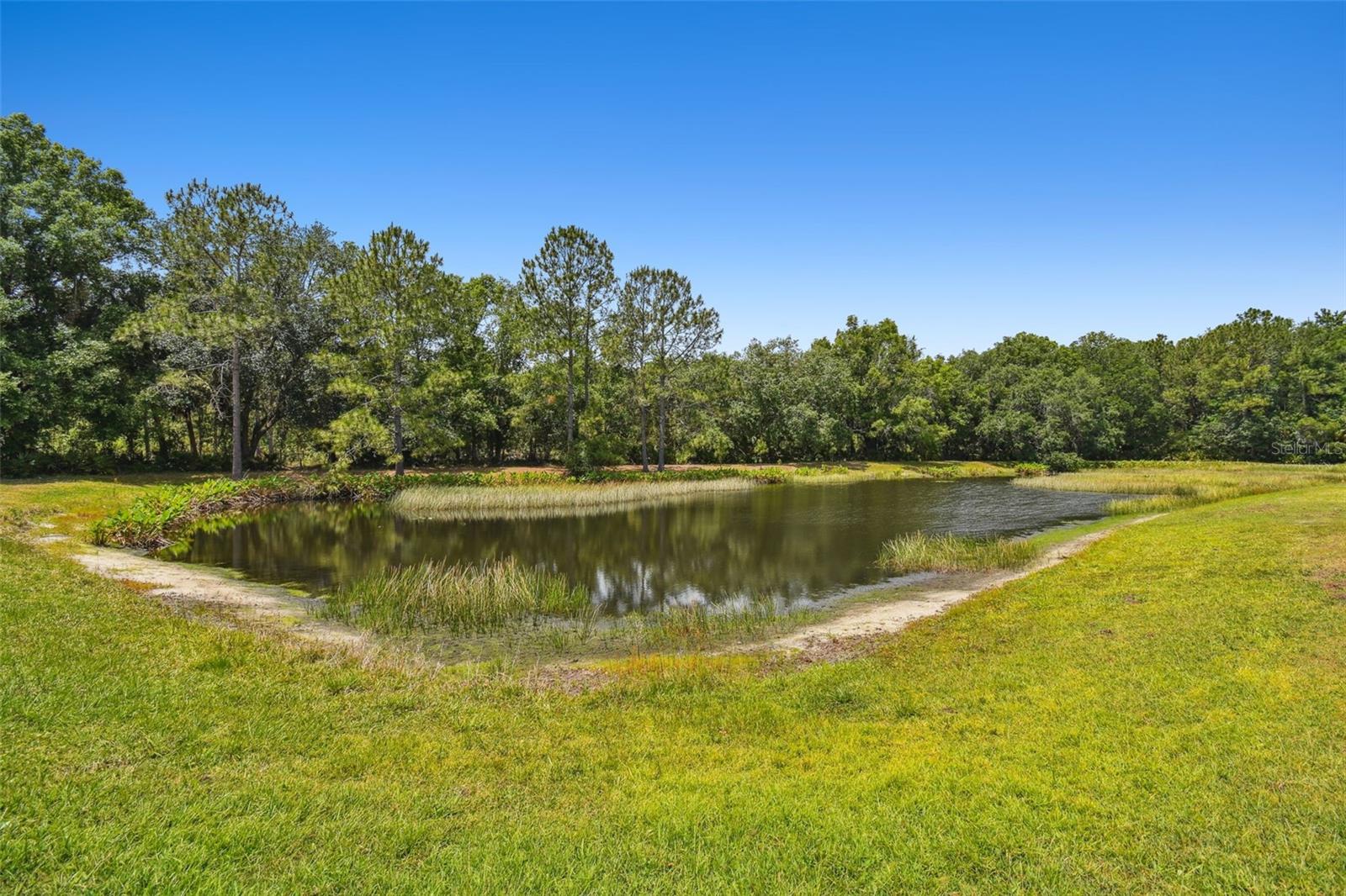 8208 PINEWOOD RUN CT, TAMPA, FL, 33647