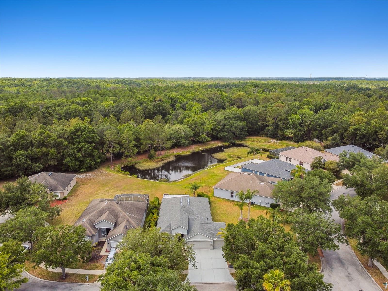 8208 PINEWOOD RUN CT, TAMPA, FL, 33647