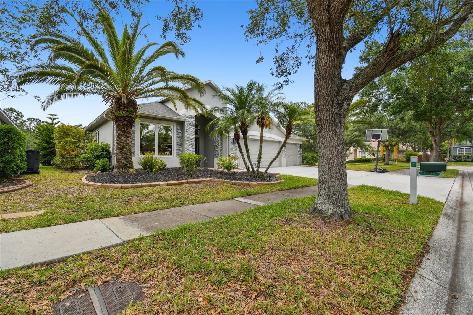 8208 PINEWOOD RUN CT, TAMPA, FL, 33647
