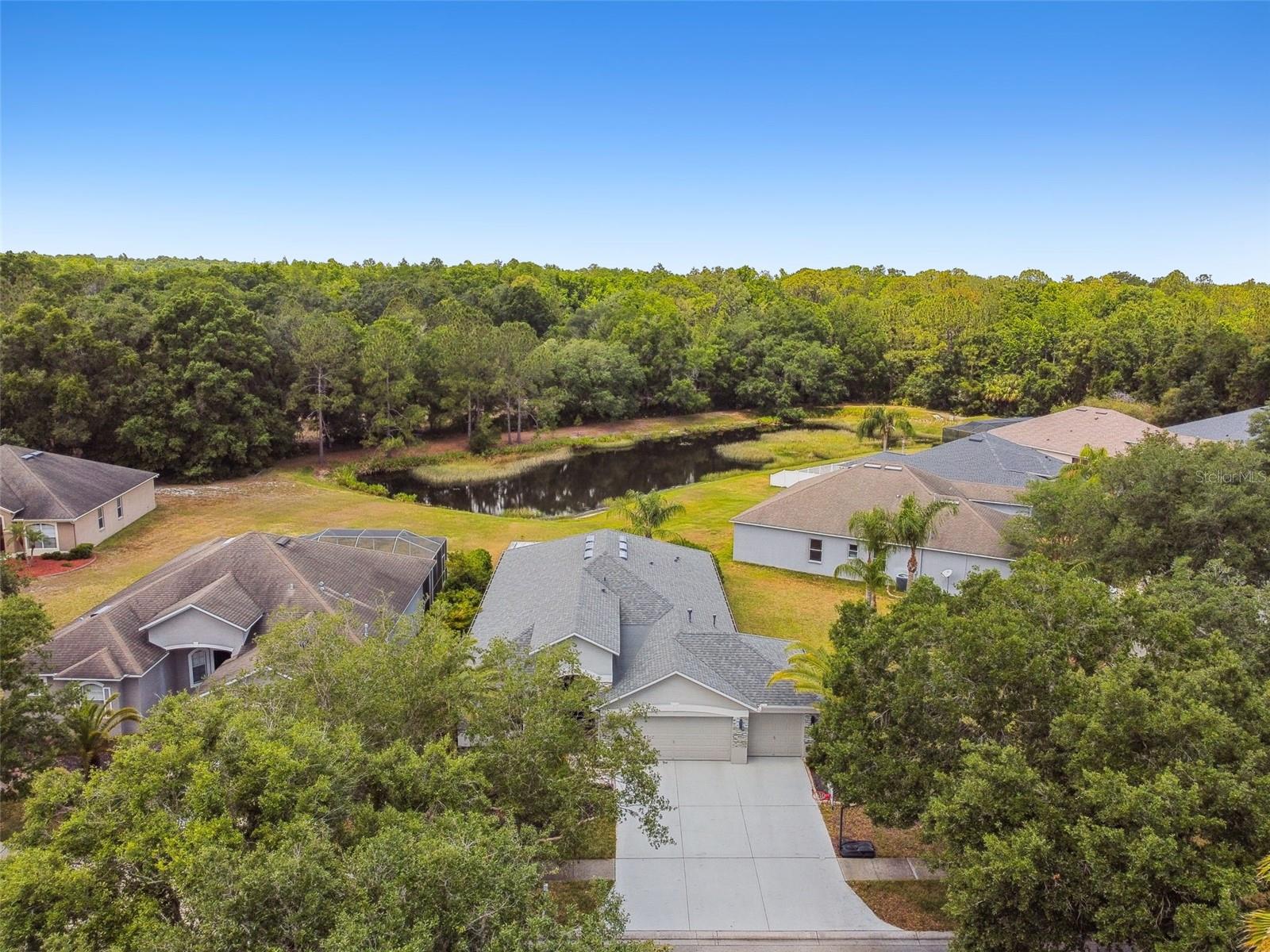 8208 PINEWOOD RUN CT, TAMPA, FL, 33647