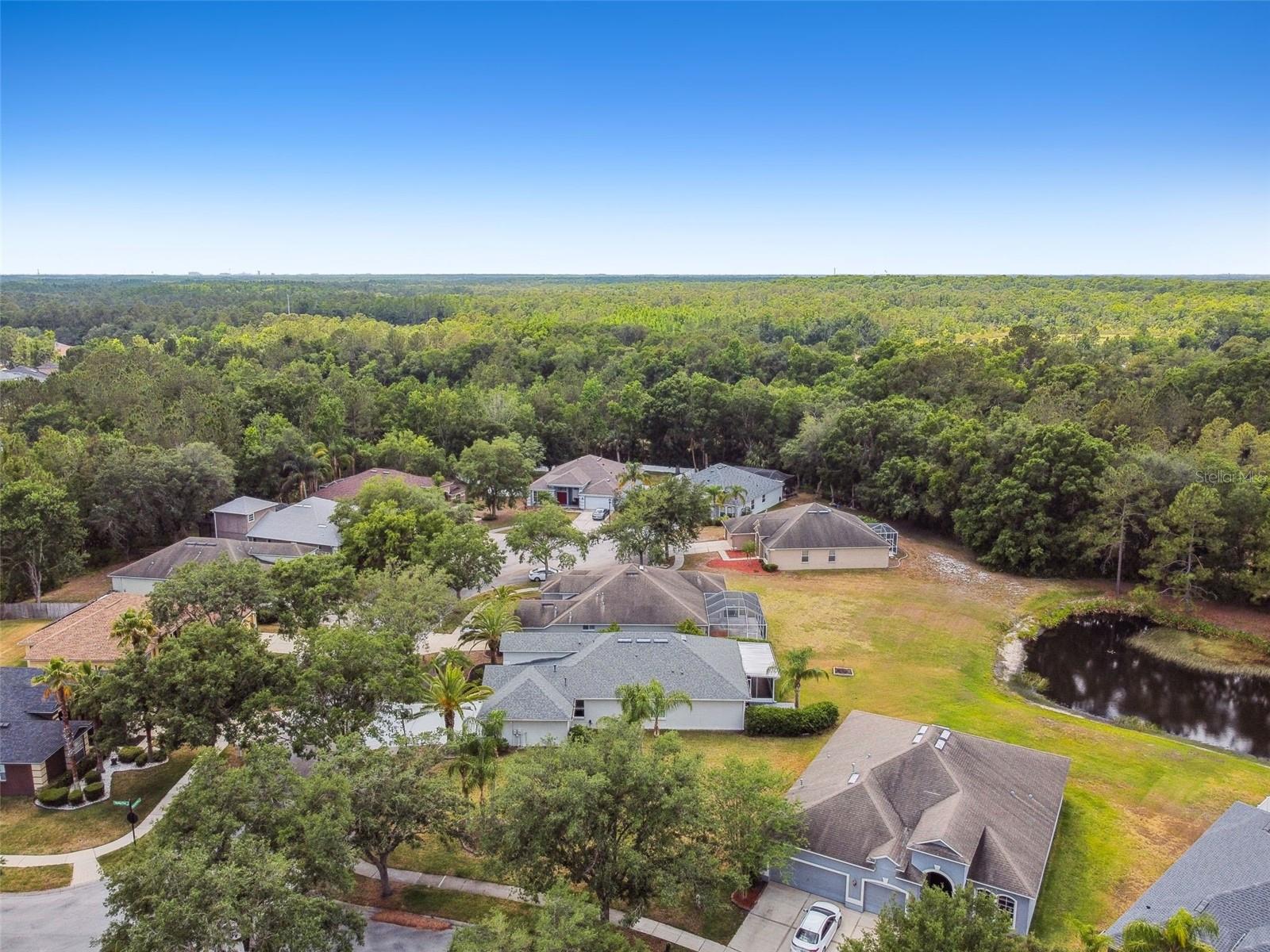 8208 PINEWOOD RUN CT, TAMPA, FL, 33647