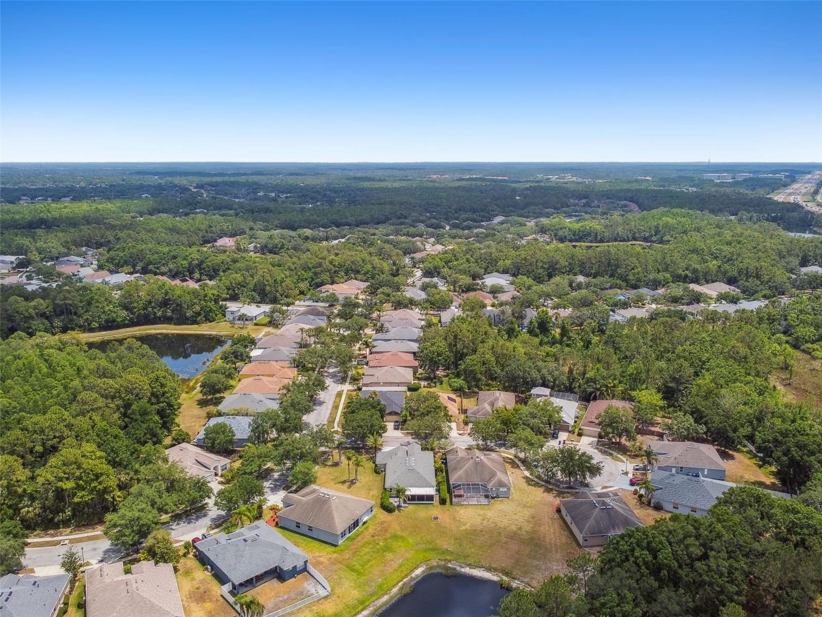 8208 PINEWOOD RUN CT, TAMPA, FL, 33647