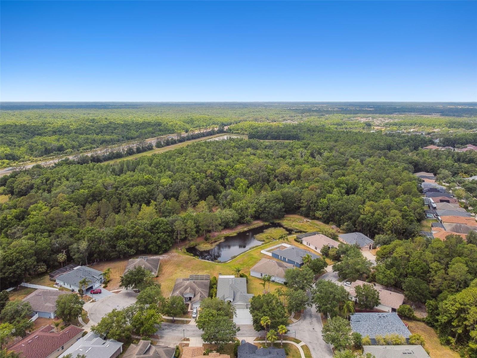 8208 PINEWOOD RUN CT, TAMPA, FL, 33647