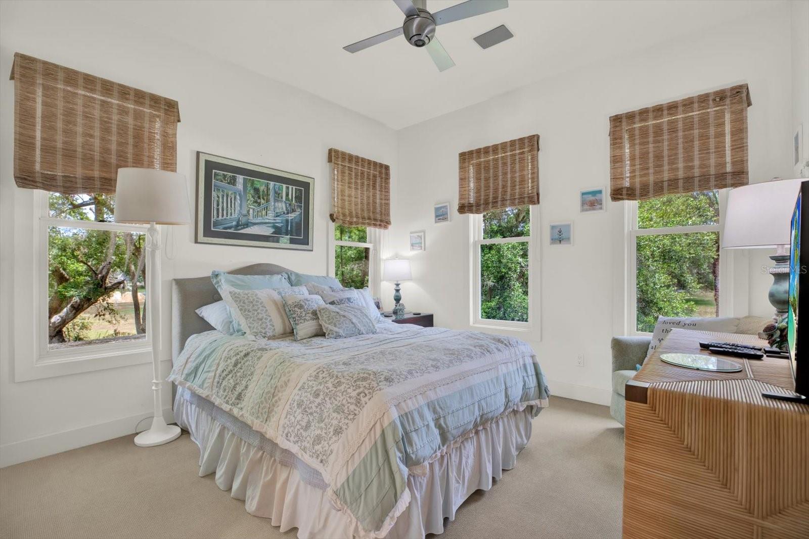 4541 SCHOOL RD, LAND O LAKES, FL, 34638