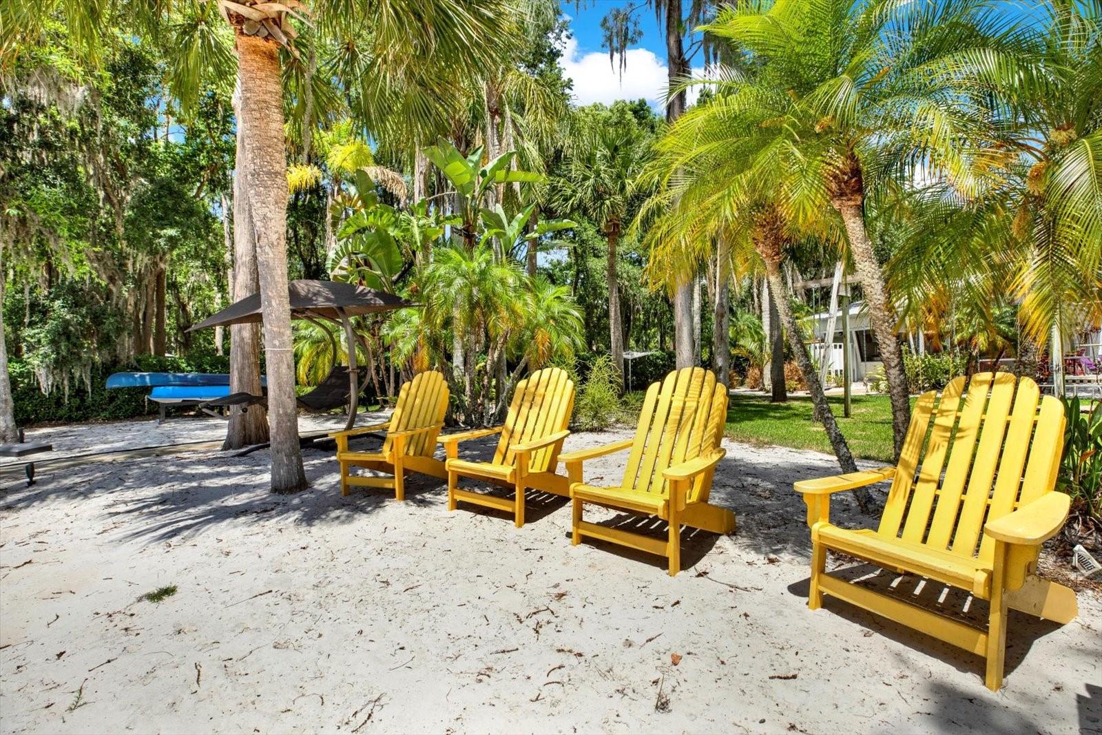 4541 SCHOOL RD, LAND O LAKES, FL, 34638