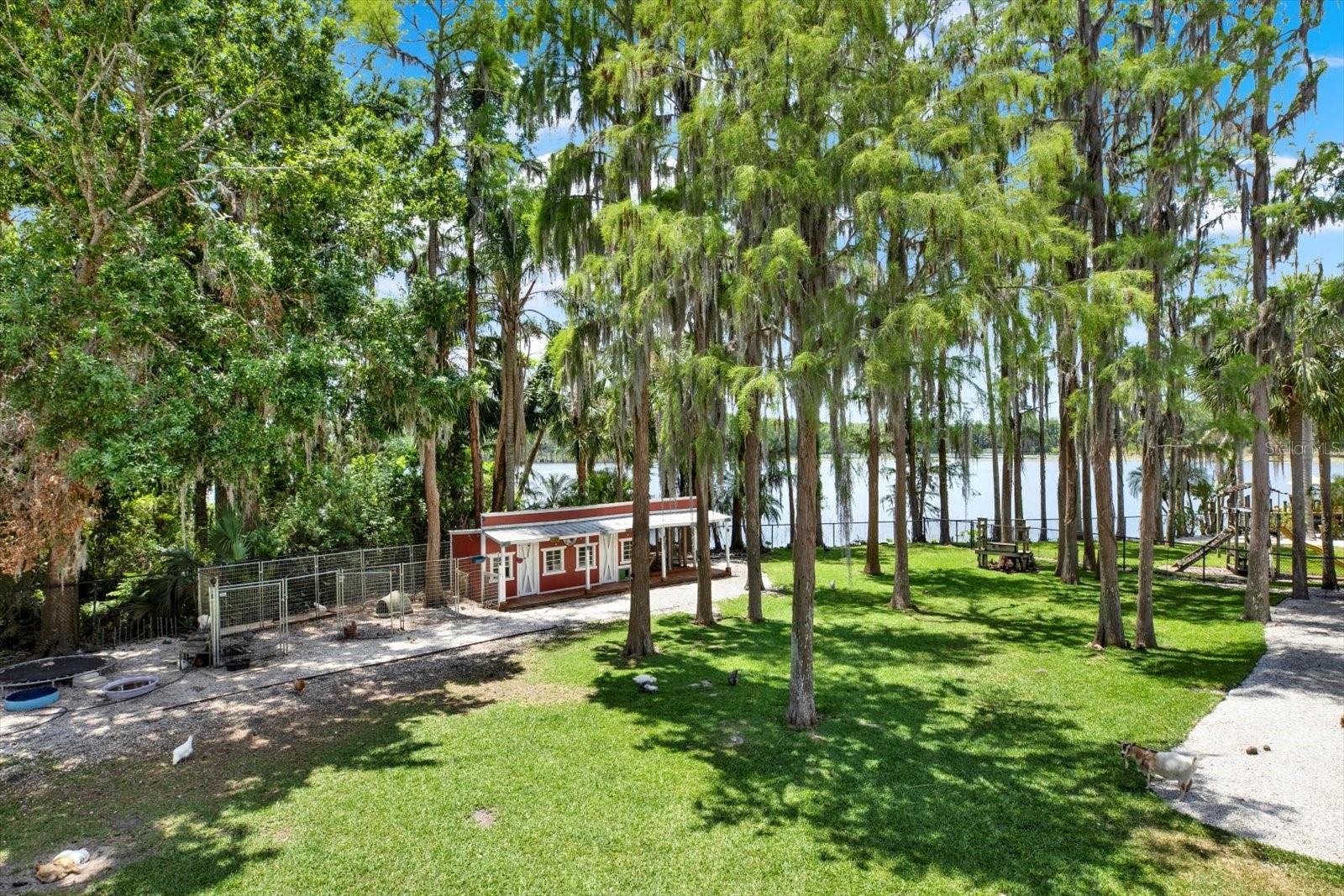 4541 SCHOOL RD, LAND O LAKES, FL, 34638