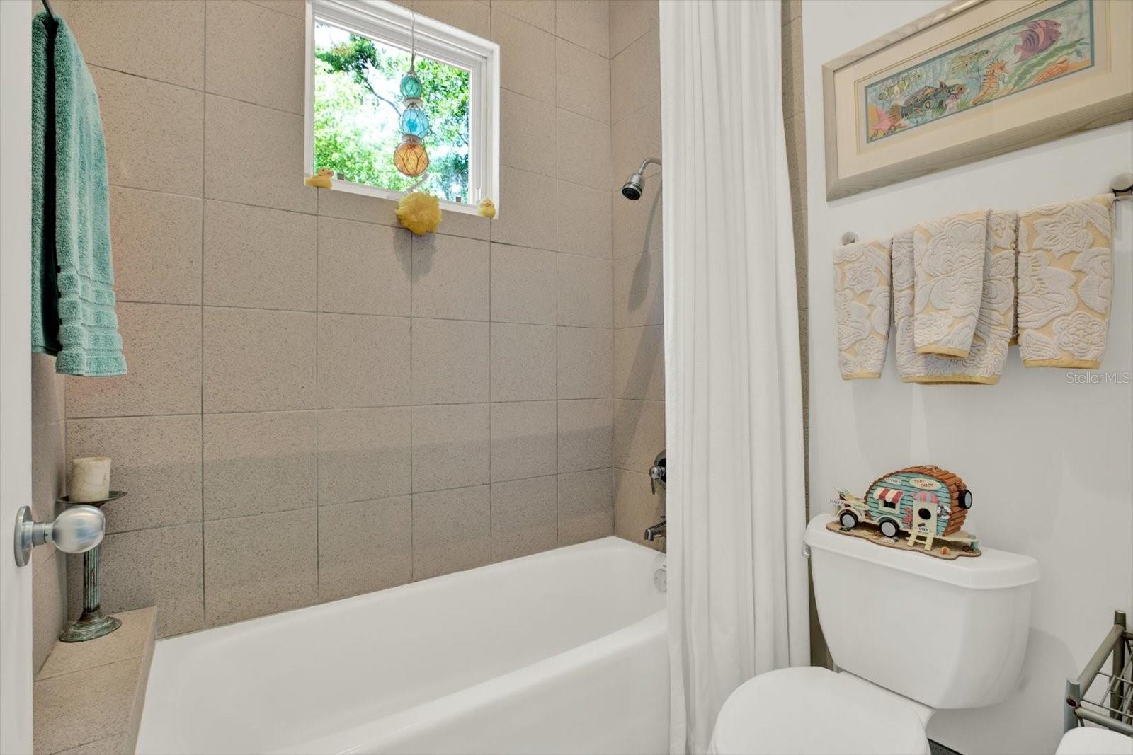 4541 SCHOOL RD, LAND O LAKES, FL, 34638